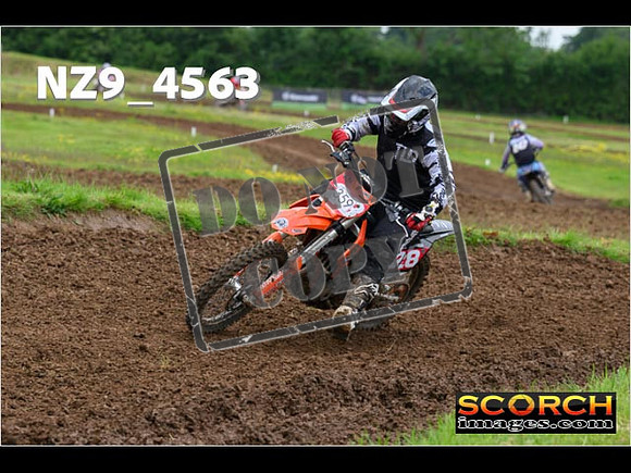 Experts-279
