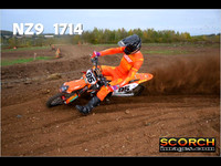 Experts-016