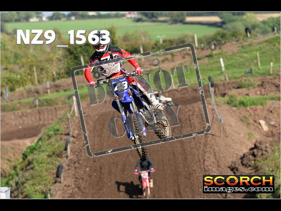 Experts-246