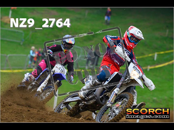 Experts-029