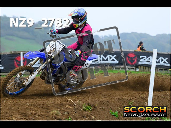 Experts-046