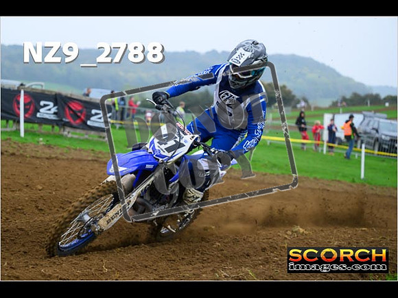 Experts-051