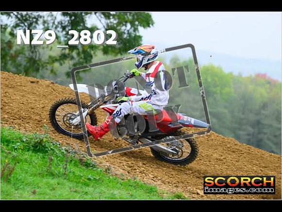 Experts-065