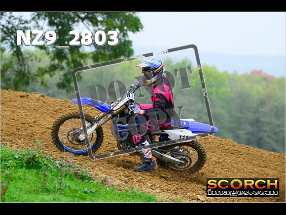 Experts-066
