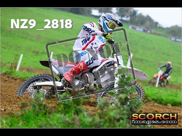 Experts-081