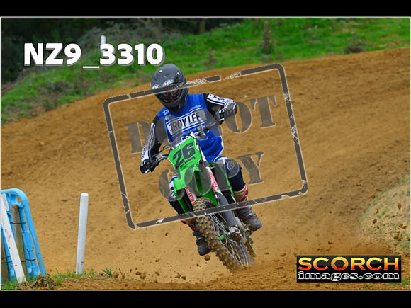 Experts-106