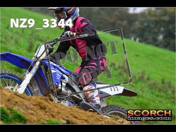 Experts-139