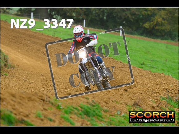 Experts-142