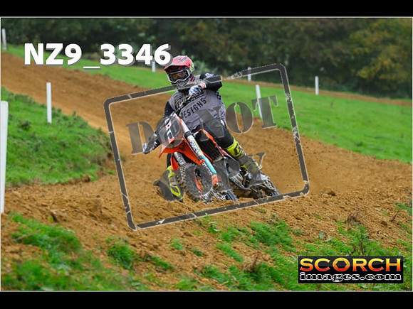 Experts-141