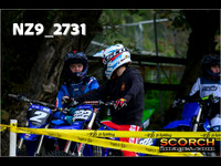 Experts-004