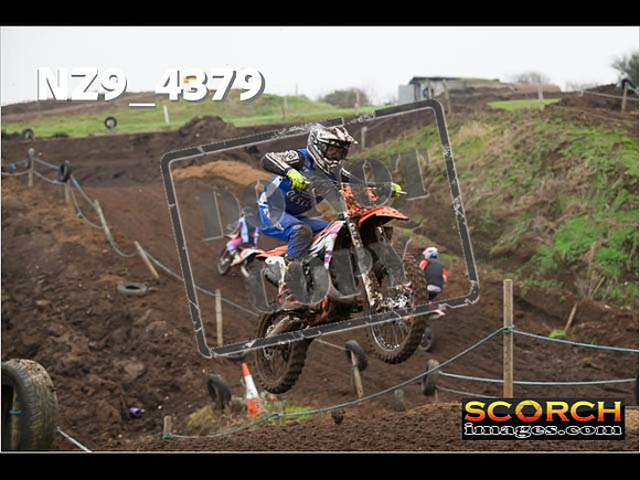 Experts-225