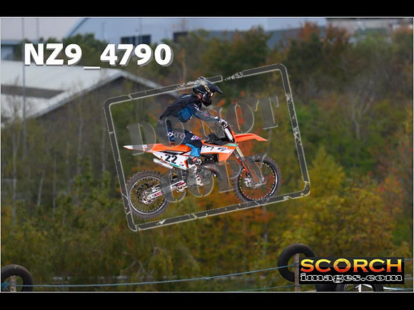 Experts-049
