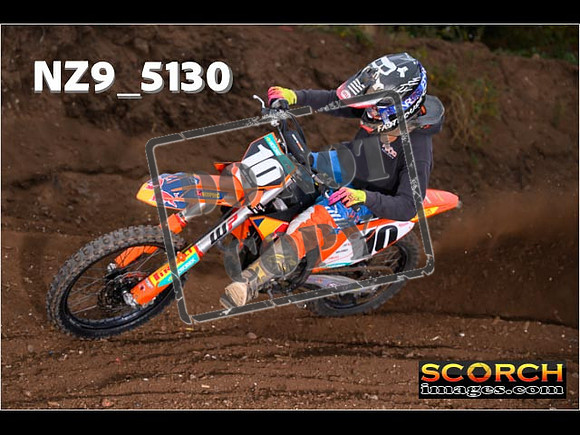 Experts-053