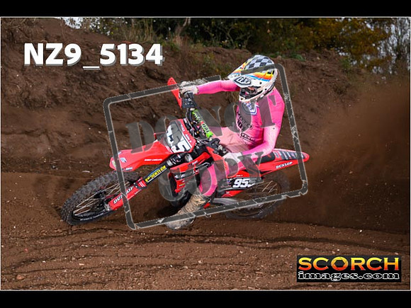 Experts-057