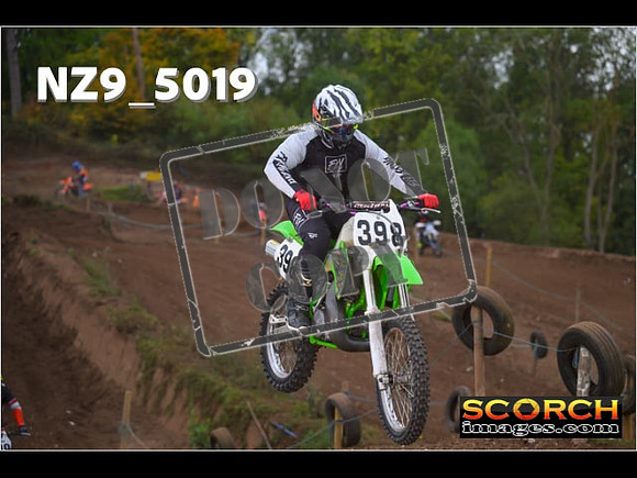 IntersGreen-072