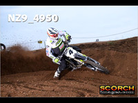 IntersGreen-006