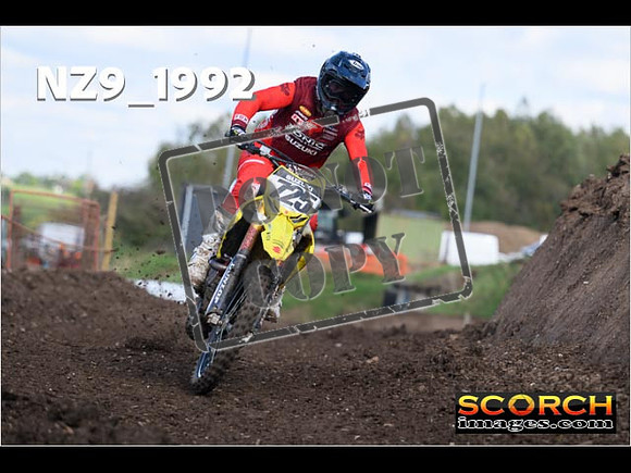 Experts-335