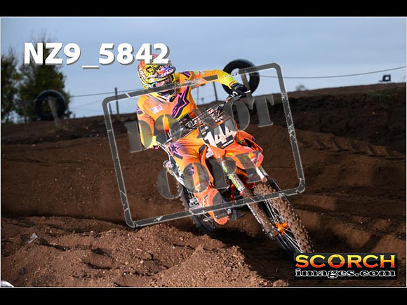 Experts-051