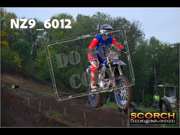 Experts-058