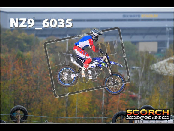 Experts-081