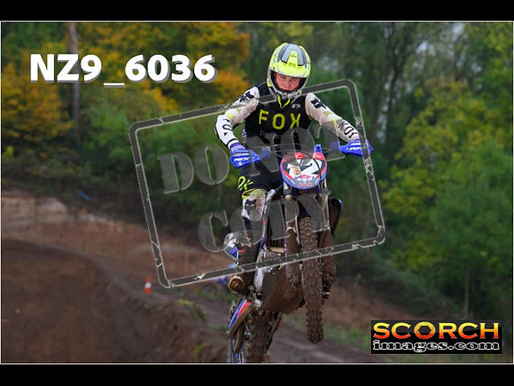 Experts-082