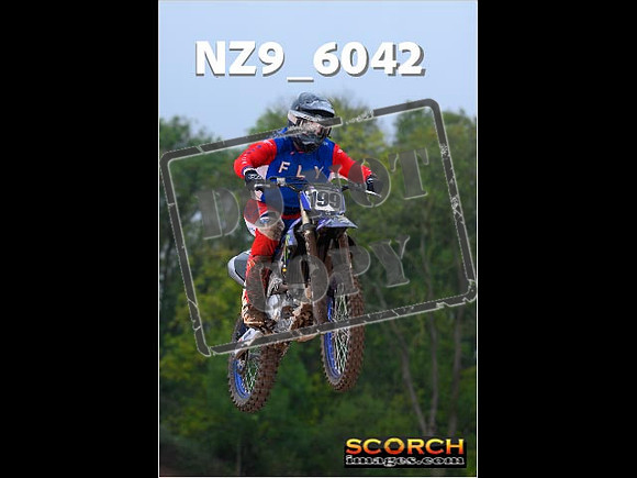 Experts-088