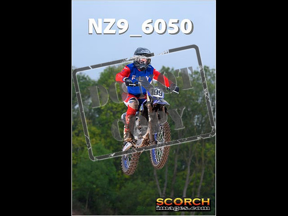 Experts-096