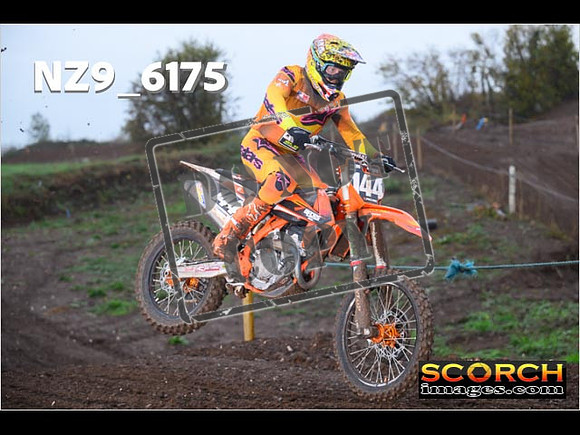 Experts-098