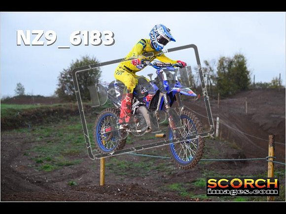 Experts-106