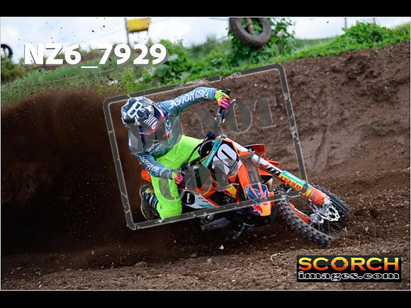 Experts-095