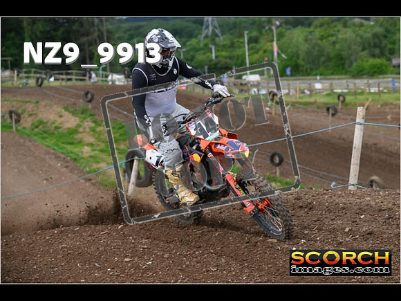Experts-136