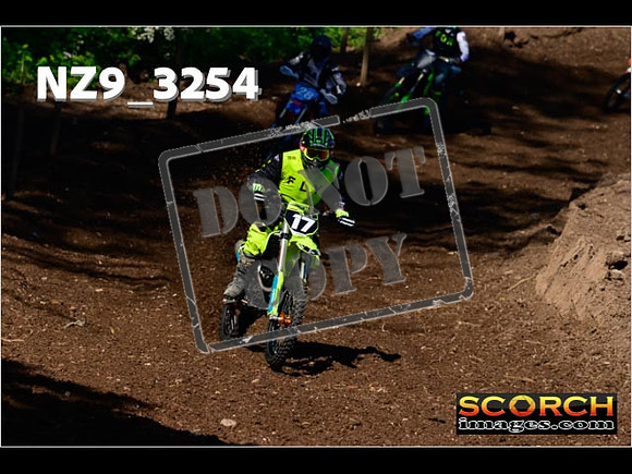 InterGreen-009