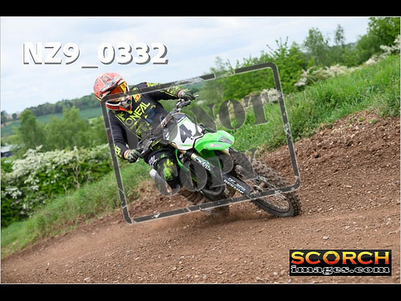 IntersGreen-276