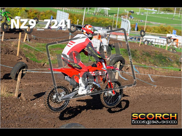 IntersGreen-047
