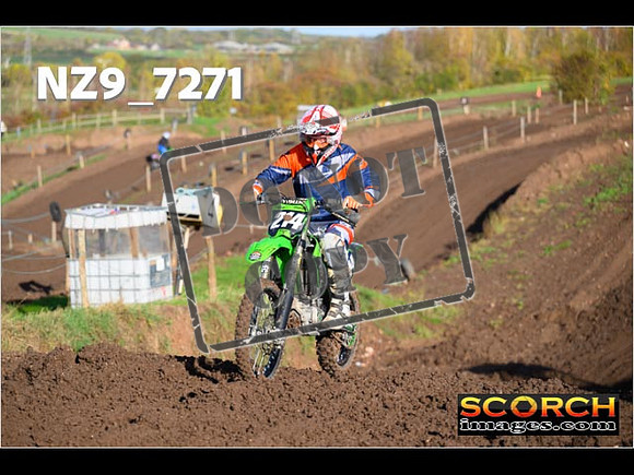 IntersGreen-077