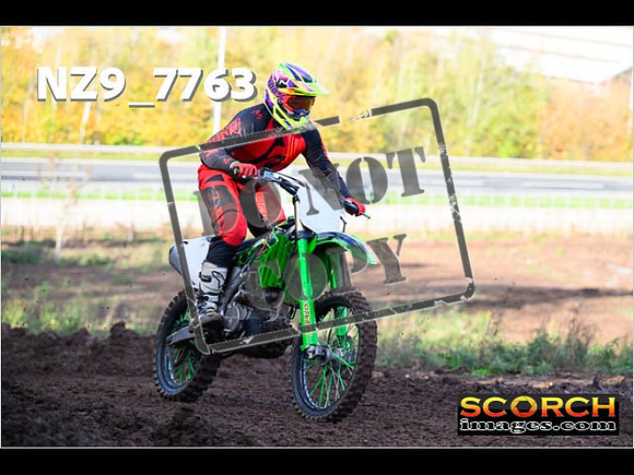 IntersGreen-125