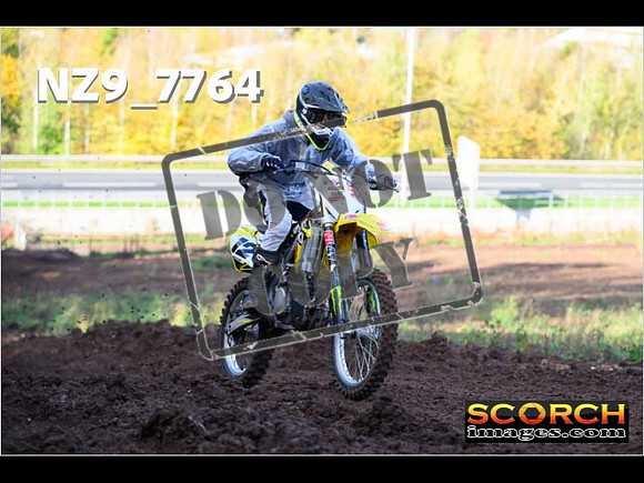 IntersGreen-126