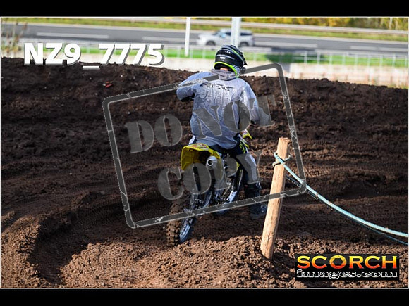 IntersGreen-137
