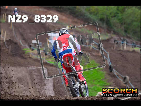 Experts-033