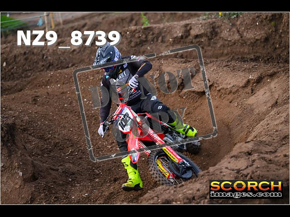 Experts-095