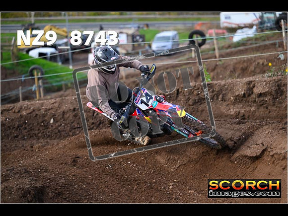 Experts-099