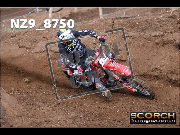 Experts-106