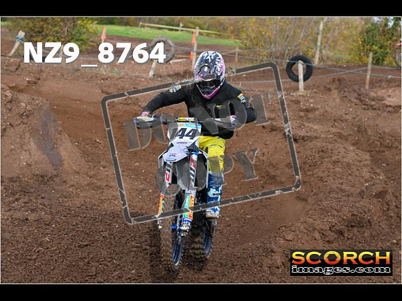 Experts-120