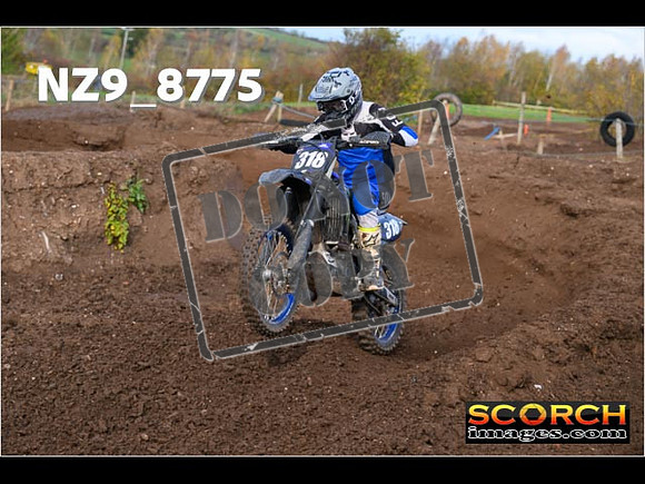 Experts-131
