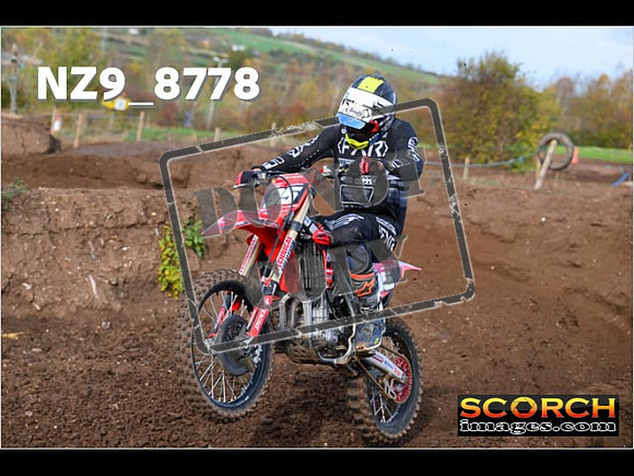 Experts-134