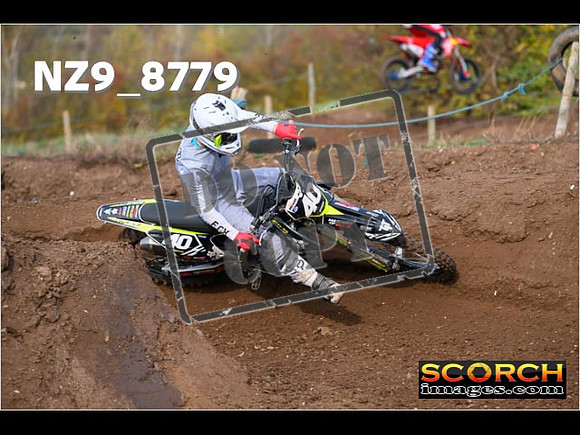 Experts-135
