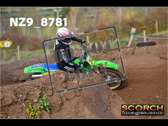 Experts-137