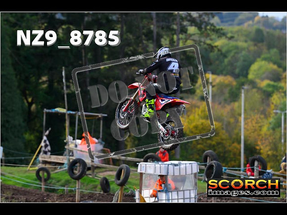 Experts-141