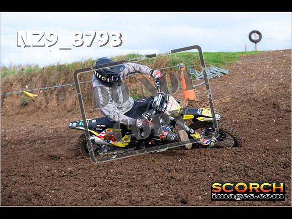 Experts-149