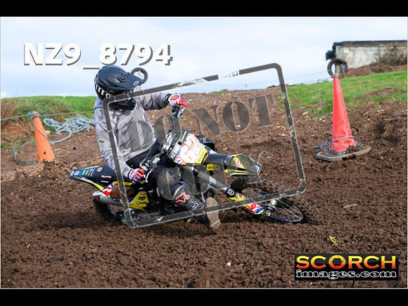 Experts-150